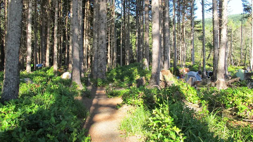 Day 8: Nehalem to Cape Lookout State Park