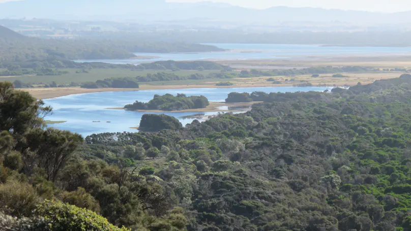 TAS day 3: Devonport to Narawntapu National Park