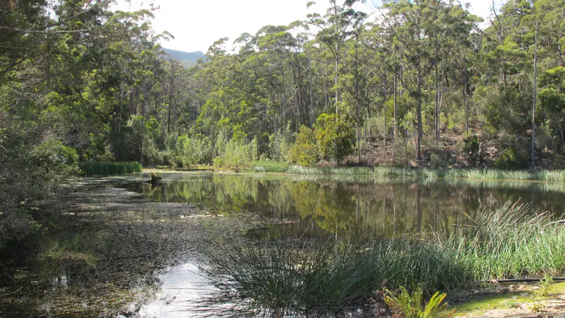 TAS day 12: Maria Island