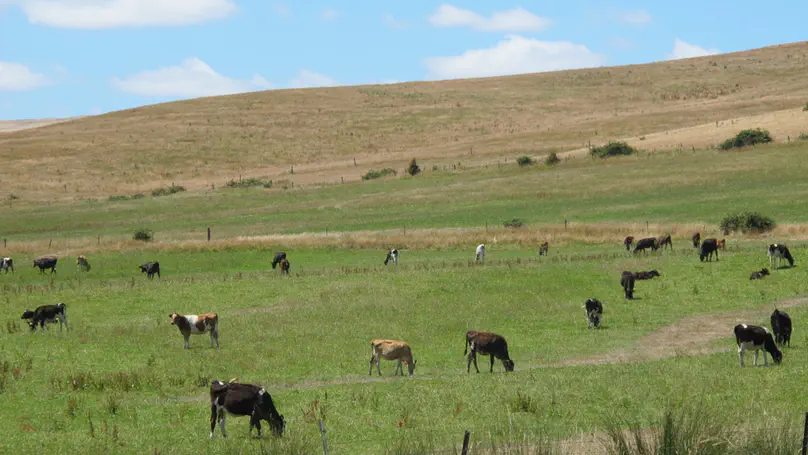 TAS day 20: Mt Field to Wayatinah