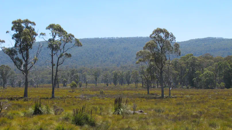 TAS day 21: Wayatinah to Lake St Clair