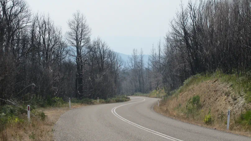 TAS day 23: Lake St Clair to Queenstown